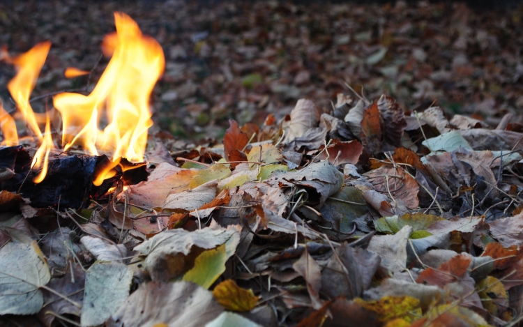 A szabadtéri tüzek megelőzése,  avar és kerti hulladék kezelése