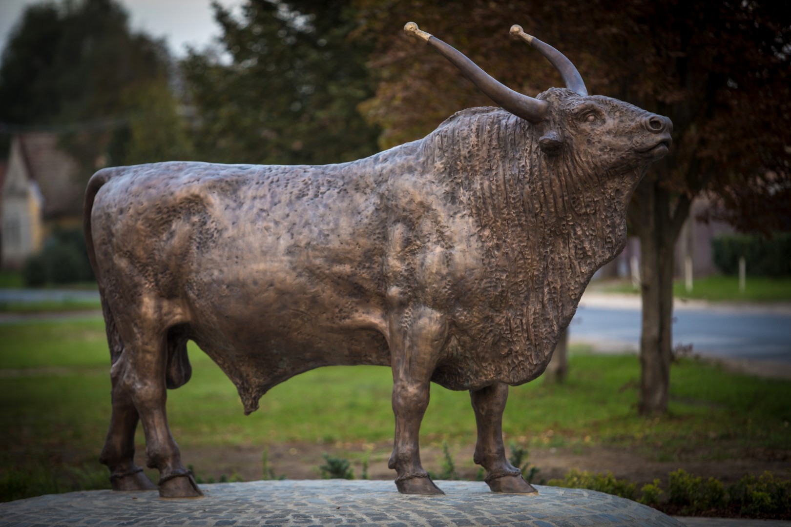 Magyar szürke bika szobor